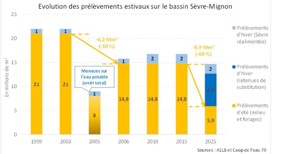 Les lapins de la discorde