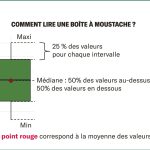 Plantes compagnes : impact sur la jaunisse et le rendement