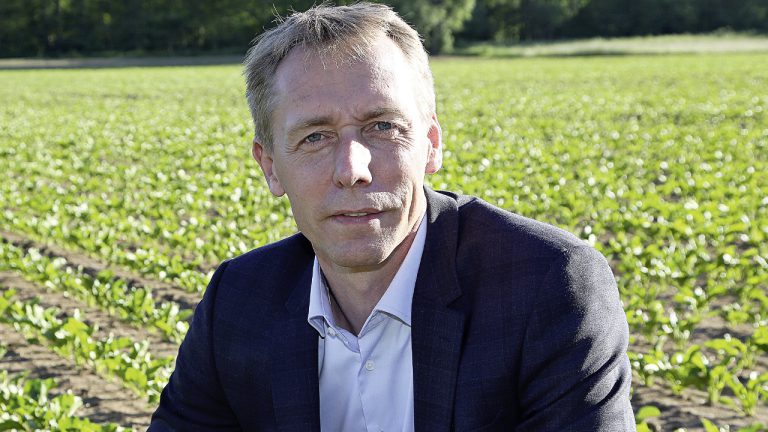 «&nbsp;2023, c’est l’année où il faut semer des betteraves&nbsp;»