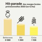 Rester prudent face à l’envolée des résultats