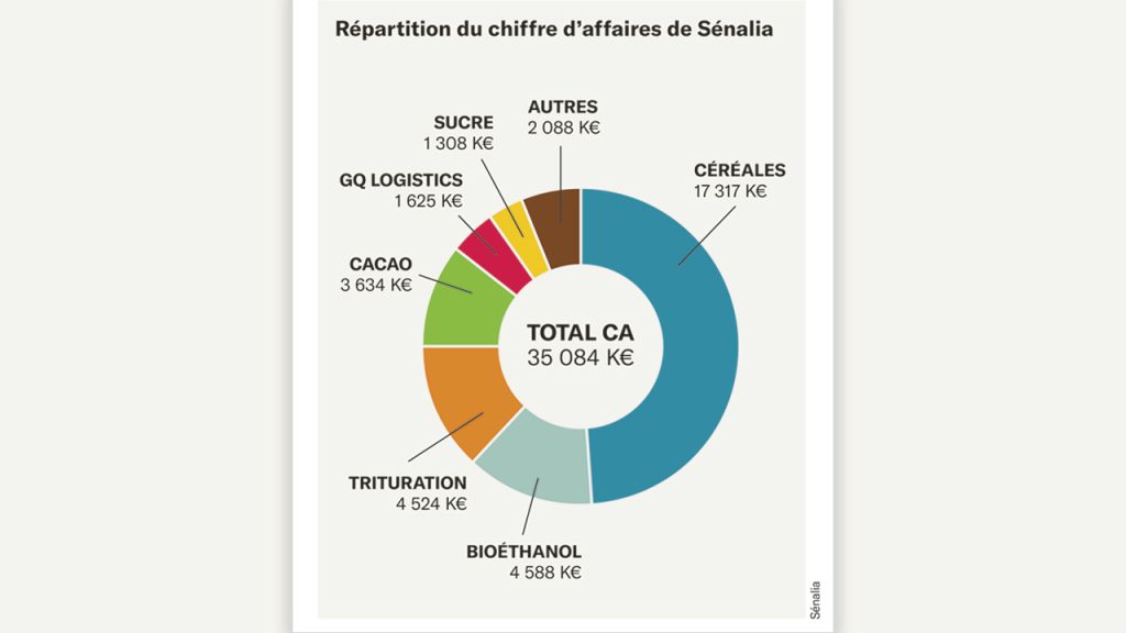 Les lapins de la discorde