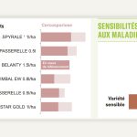 Optimiser la lutte contre la cercosporiose