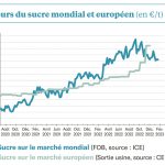 Les marchés du sucre consolident leurs gains