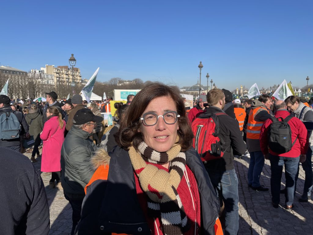 Au Japon, l’ours attaque 17 Au Japon, l’ours attaque