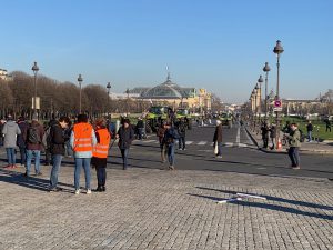 Les lapins de la discorde