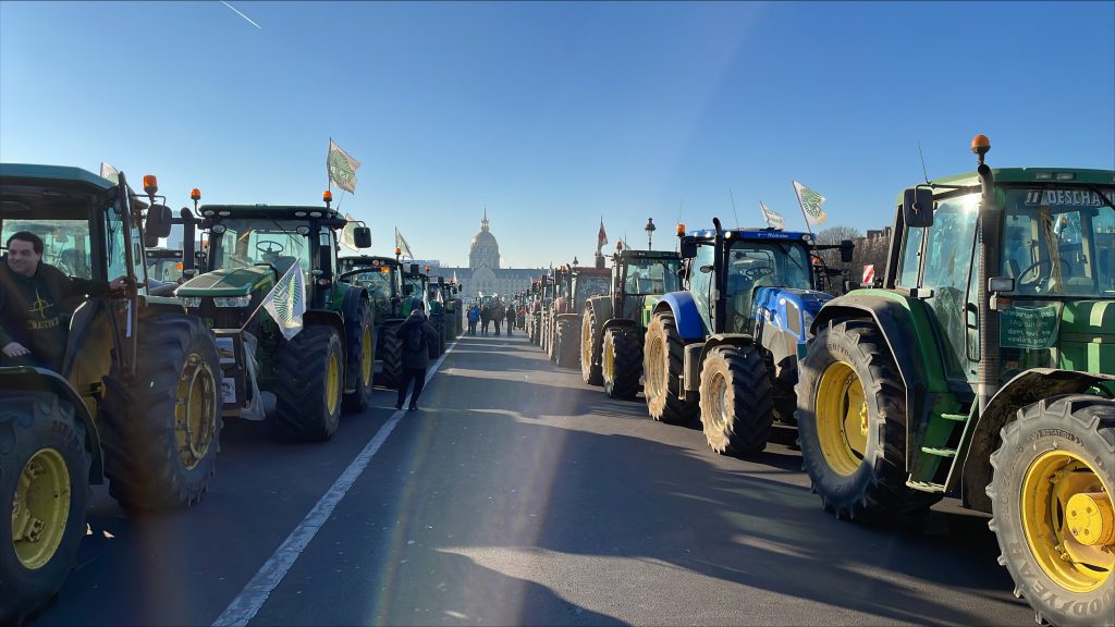 Au Japon, l’ours attaque 37 Au Japon, l’ours attaque