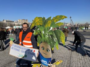 Les lapins de la discorde