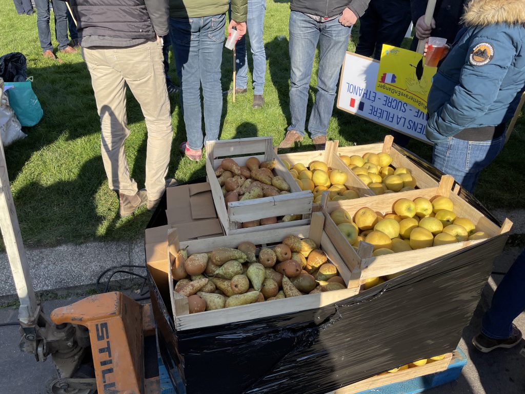 Au Japon, l’ours attaque 20 Au Japon, l’ours attaque