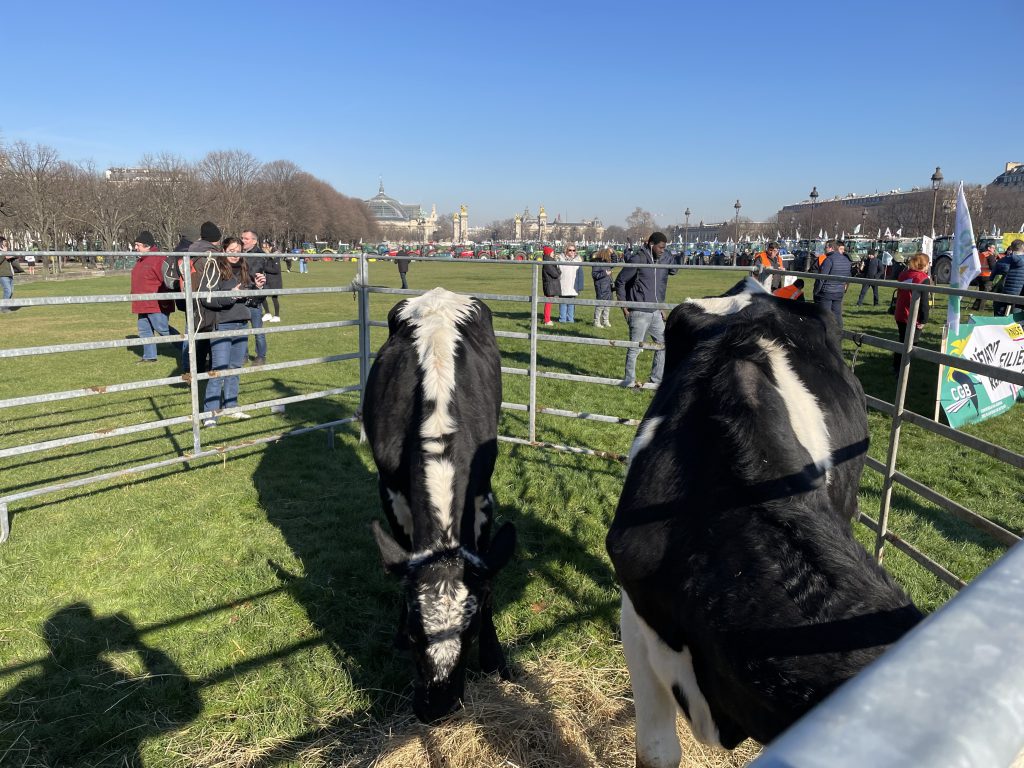 Au Japon, l’ours attaque 13 Au Japon, l’ours attaque