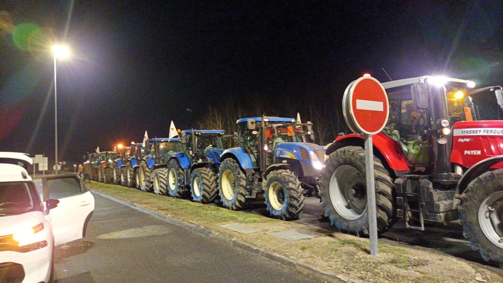 Au Japon, l’ours attaque 49 Au Japon, l’ours attaque