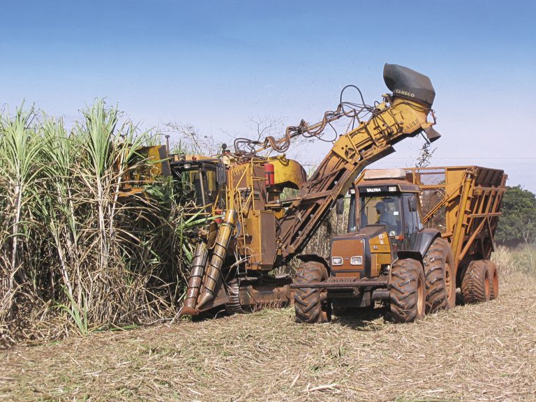 Mercosur&nbsp;: Un accord commercial néfaste pour la filière sucrière
