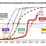 Les surfaces de betteraves semées à 75 % au 19 avril