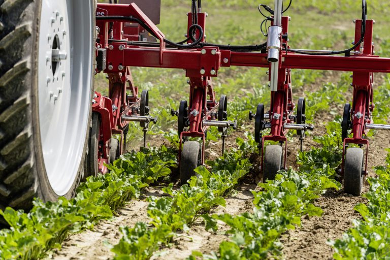 L’offre foisonnante du désherbage mécanique