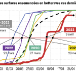 Les semis se terminent