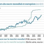 Sucre : Un marché en pleine forme qui fait oublier les difficultés de l’éthanol