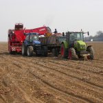 Les planteurs misent sur un été indien