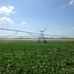 Évaluer les stratégies d’irrigation