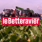 Qu'allez-vous voir à Betteravenir ?