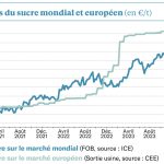 Retour du « weather market » ?