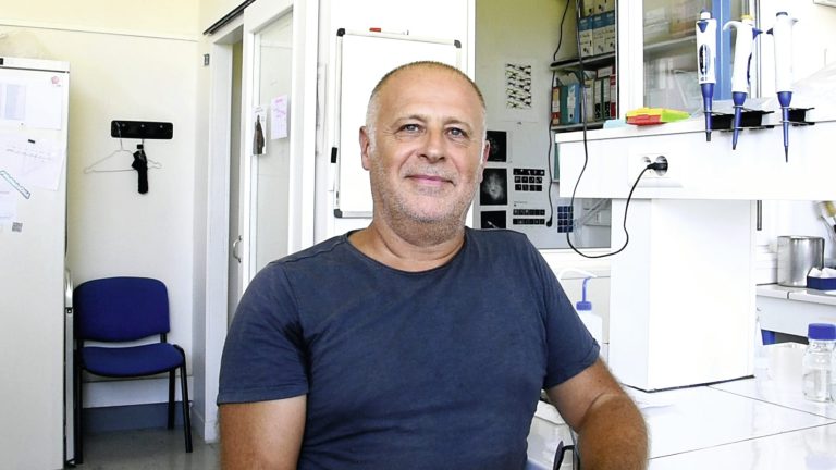 Fabien Nogué, directeur de recherche à l’Inrae&nbsp;: «&nbsp;les NGT ne présentent pas plus de risques que la sélection classique&nbsp;»