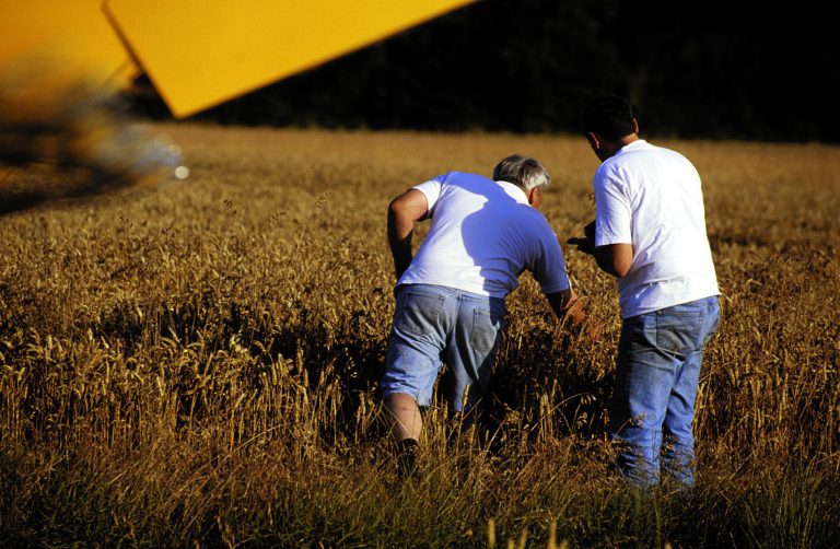 Les trimestres validés pris en compte pour calculer la pension d’un salarié