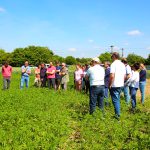 La filière chanvre textile se tisse dans l’Oise