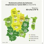 Encore plus de 2 500 hectares de betterave en terre