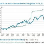 Sucre : Un marché mondial bien hésitant !