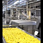 NatUp, le pari gagnant de la diversification