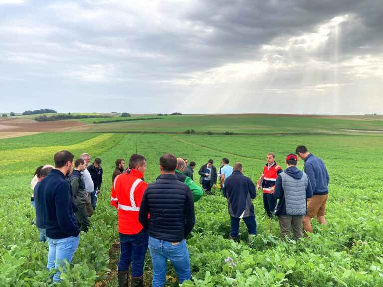 La betterave se lance dans l’agriculture régénérative