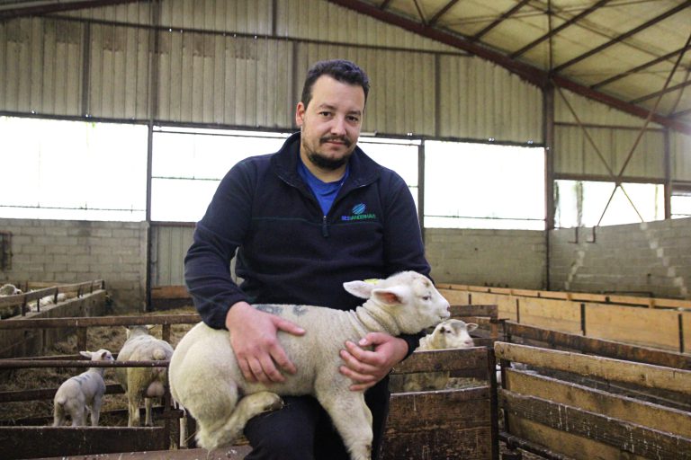 Production animale et végétale, un duo gagnant