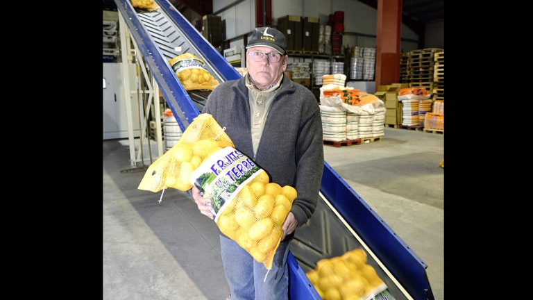 Dans l’Aube, la pomme de terre dans tous ses états