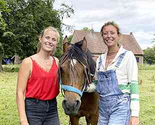 Maître Tesson vous salue bien