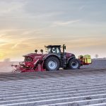 Tension sur le plant de pomme de terre