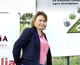 Maître Tesson vous salue bien