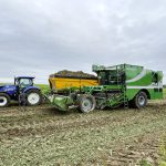 Qui va sauver les filières endive et chicorée ?