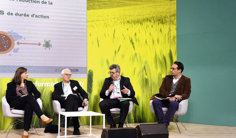 Jaunisse&nbsp;: Agriodor espère commercialiser son répulsif de pucerons en 2025