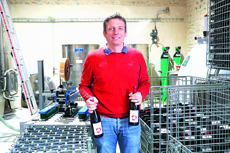 Les betteraves côtoient les vignes