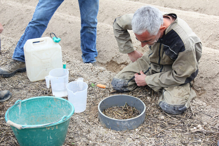 Observer l'infiltration de l’eau en Champagne crayeuse