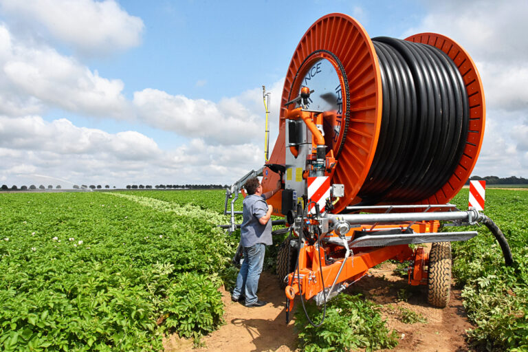 La pomme de terre, avec tempérance