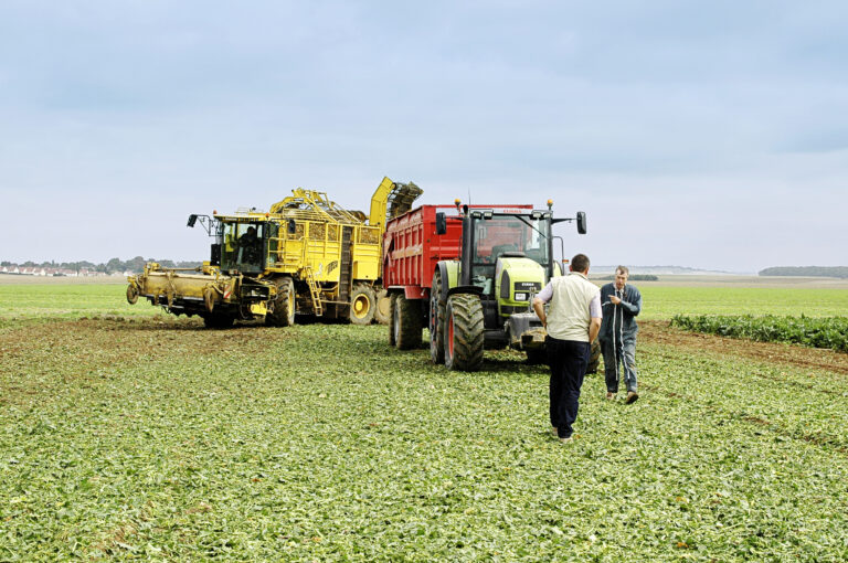 Verser jusqu’à 3 000 € de prime sans payer aucune charge