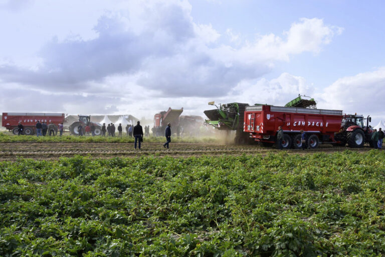 Que voir à Potato Europe ?