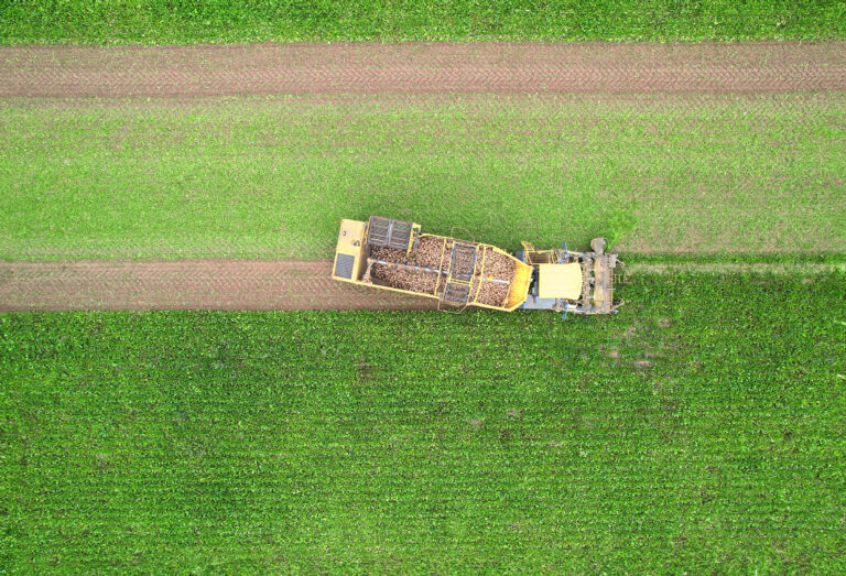 Une campagne qui s’annonce décevante