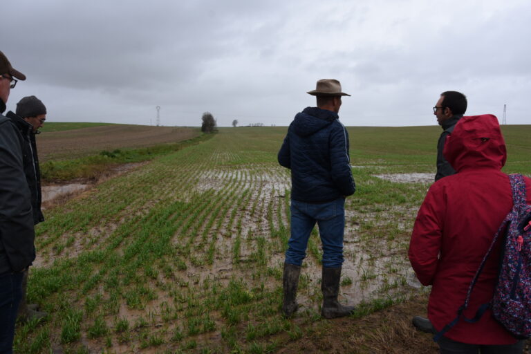 L’assurance récolte à l’épreuve de la mauvaise moisson