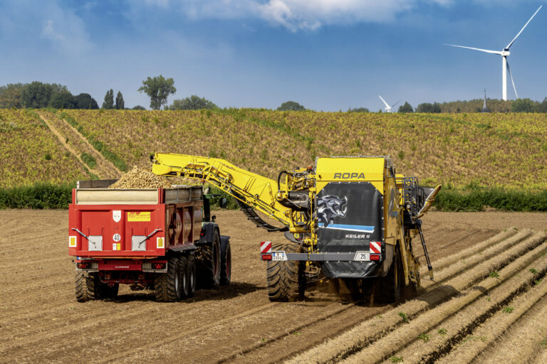Les investissements en forte baisse, le nord de la France résiste beaucoup mieux