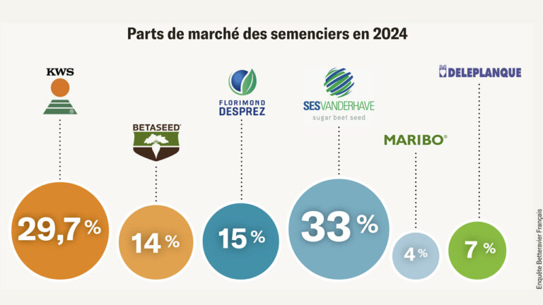 Trois familles génétiques pour la filière betteravière