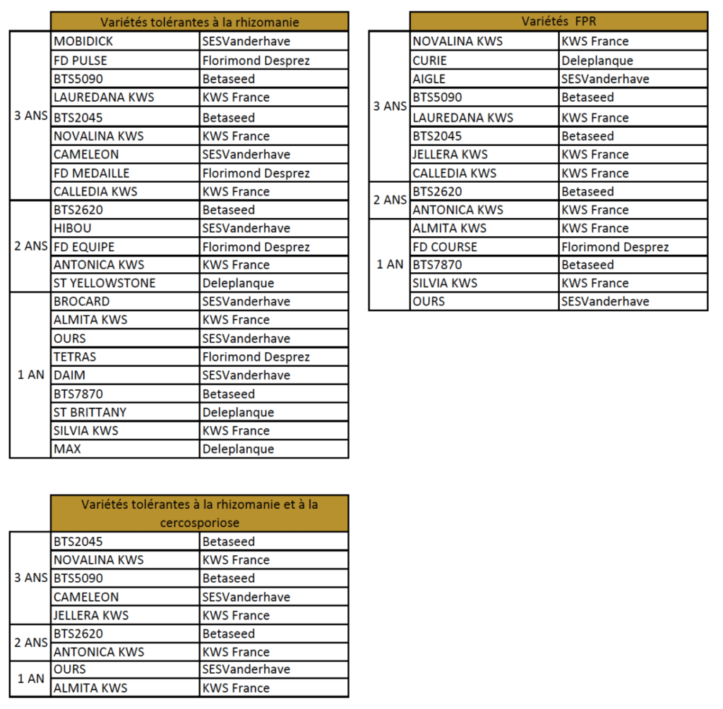 Choisir ses variétés pour les semis 2025