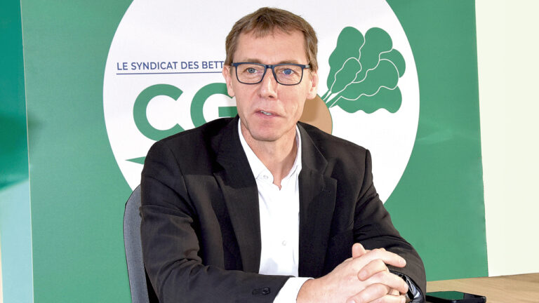 La betterave 2024 n’est rentable qu’à partir de 37,5 €/t