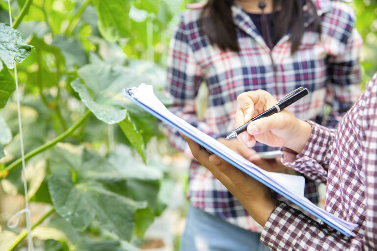 Indemnisation des pertes : le dispositif fiscal