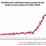 Les rendements à la peine depuis 20 ans 2 Les rendements à la peine depuis 20 ans